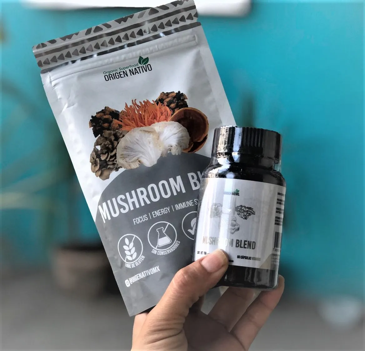 Mushroom Blend Polvo